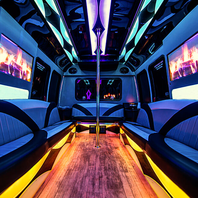 Niagara Falls party bus